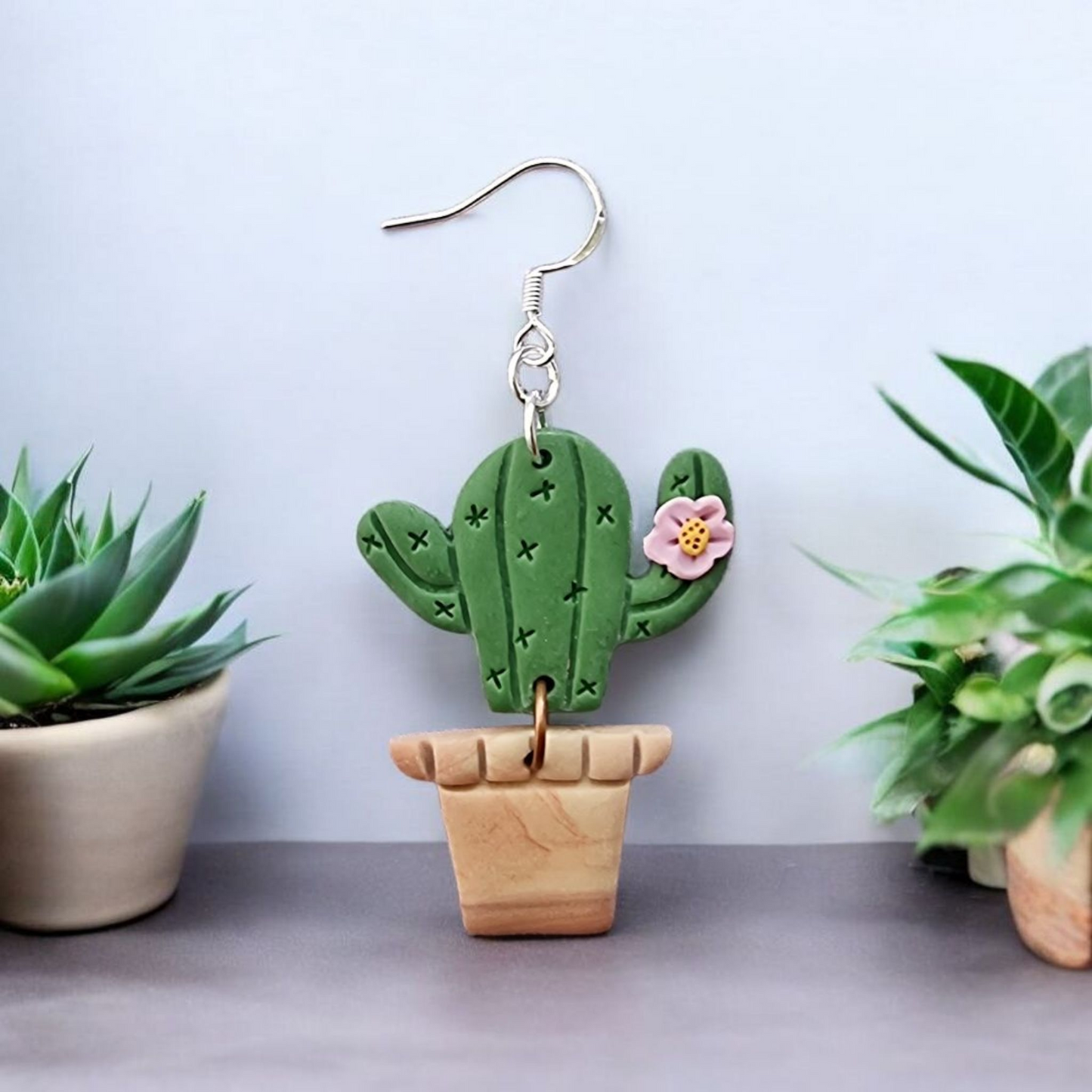Kaktusy w doniczce 🌵