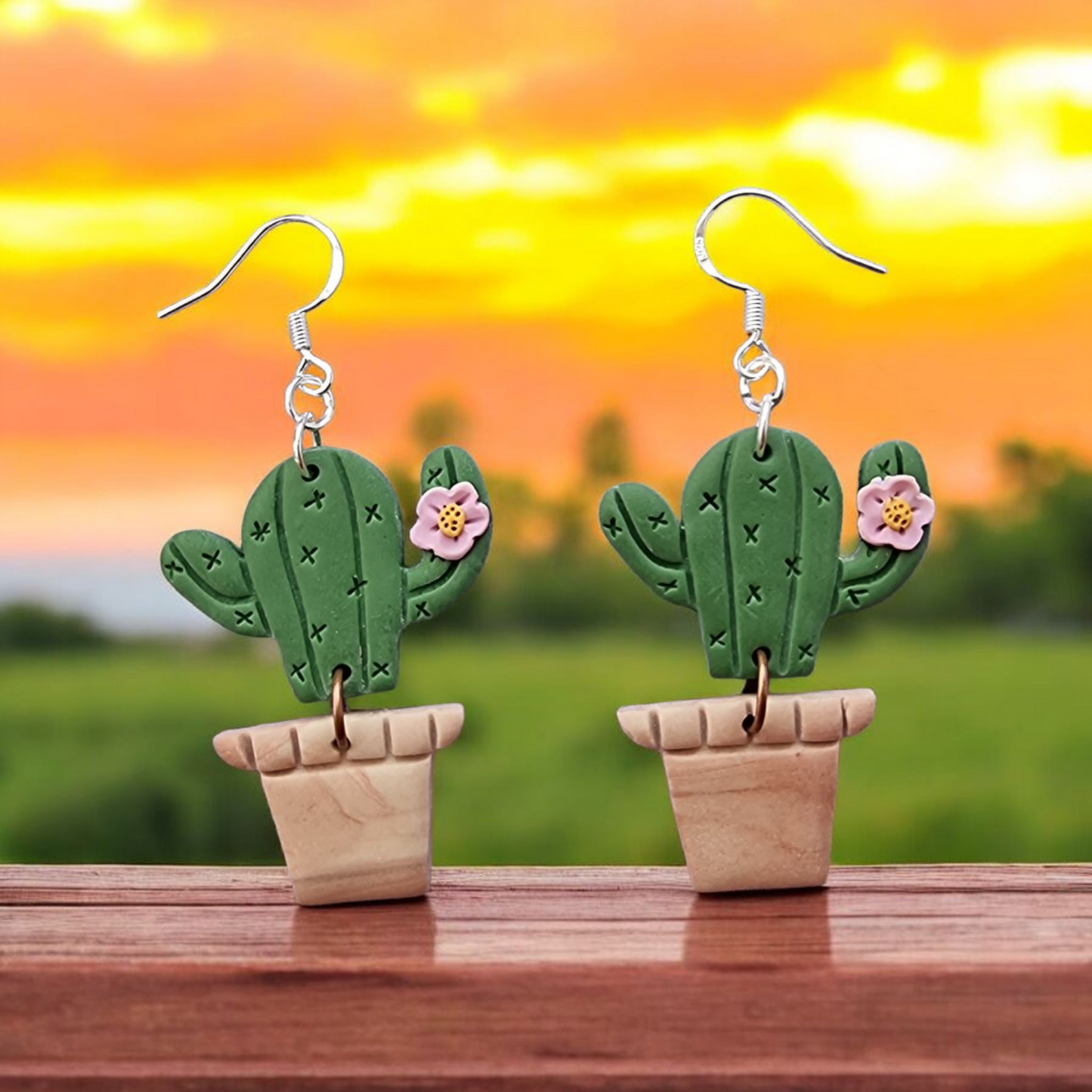 Kaktusy w doniczce 🌵